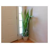 O'Fallon, MO Living Estate AUCTION