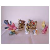 Birds & more Birds