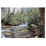 117 Acres & Mineral Rights