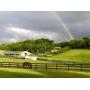 36 Acre Gentleman's Horse Farm, Horses & Contents