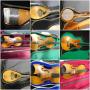 Jane Lew, WV: Stringed Instrument Auction