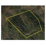 45 Acres Sold to the Highest Bidder