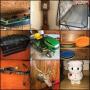 Morgantown, WV: JD Lawn Tractor, Game Mounts, Furniture, Household Goods, Fiesta, Kitchen Items, L