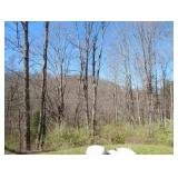 3082 Skin Creek Rd.