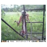 W-B AUCTIONS M T CUPBOARD 110 ACRES PRIME HUNTING LAND AUCTION