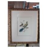 Set of 4 Bird Prints