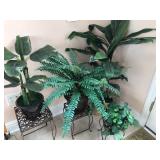 Lovely Artificial Plant Selection and Stands