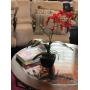 Moving sale in Spring 