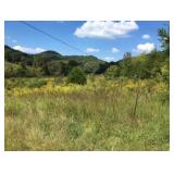 4 acre tract all auctions together