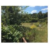 another view of 4 acre tract