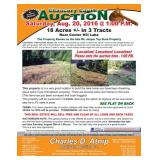 Jasper Toy Dunn Sale