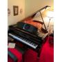 ESTATE AUCTION (liv)