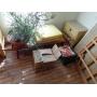 ESTATE AUCTION
