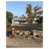 A BILL MARSH ESTATE SALE THIS WEEKEND IN KERRVILLE