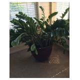 A BILL MARSH ESTATE SALE THIS WEEKEND!