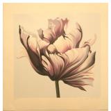 Lowell Blair Nesbitt