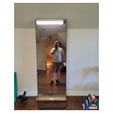 Mirror Workout System 