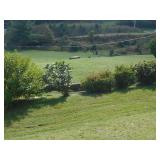 4.5 acres of beautiful land