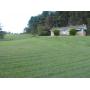 Nice brick ranch