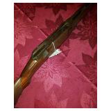 www.MountainCityAuctions.com