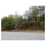 Residential Land Auction