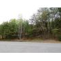 Residential Land Auction