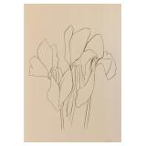 Ellsworth Kelly (American, 1923-2015) "Cyclamen" lithograph (c. 1966), signed and number "43/75"