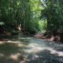 TURKEY CREEK