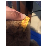 Vintage Steiff Teddy Bear Tag