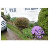 landscaping for sale