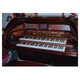 Lowery SU530 Royale Stardust