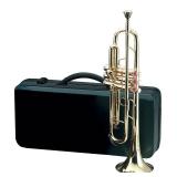 New Brass Trumpet - current bid $65