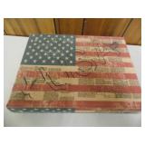 USA Gun/Storage Case - current bid $10