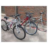 Group of 3 Adult Mountain Bikes