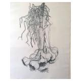Bill Darr Garlic Original Sketch Signed 1974