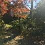 Beautiful Swarthmore Property Auction