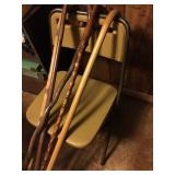 Walking sticks
