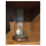 pocket watch in case