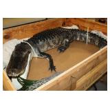 Large Public Auction