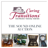 THE SOUND ONLINE AUCTION