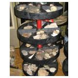 rocks/fossils