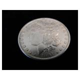 Morgan Dollar Coin - 1891