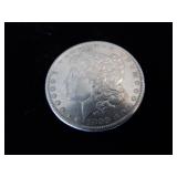 Morgan Dollar Coin - 1899