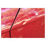 1999 Ford Mustang Convertible NO RESERVE