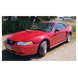 1999 Ford Mustang Convertible NO RESERVE
