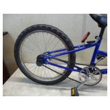 Kent Co-Pilot Trail-a-Bike