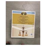 Hampton Bay Chester 3-Light Chandelier Aruba Teak not used