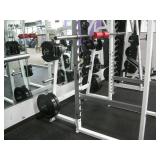 Life Fitness Squat Power Rack