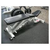 Life Fitness Adjustable Weight Bench