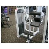 Life Fitness Back Extension